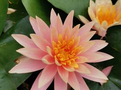 -公益图书馆(江南大学店)