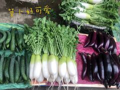 -南门绿玉农贸市场