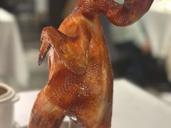 -五稻厨房粤西菜(新闻店)