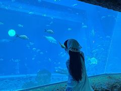 -南昌融创海世界