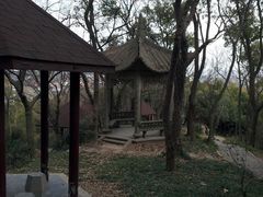 -上海佘山国家森林公园西佘山园