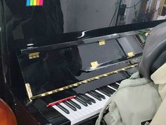 -缪斯琴行英皇小提琴.钢琴.吉他(张江店)