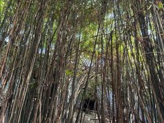 -三江森林温泉度假区