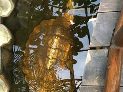 -上海大自然野生昆虫馆(东方明珠·爬宠昆虫探索中心)