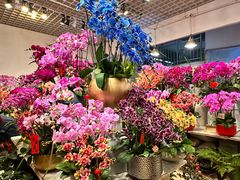 -双季花艺园艺市场(浦东店)