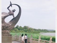 -东湖落雁景区