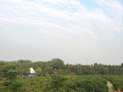 -洈水景区
