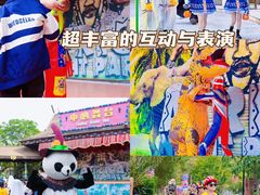 -灵玲国际马戏城