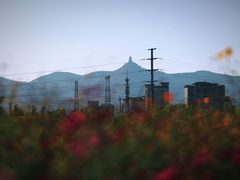 -永定河休闲森林公园
