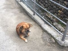 -龙潭峡谷漂流