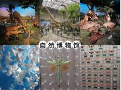 -国家自然博物馆