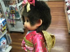 -秋叶原电器街