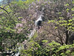 -京东石林峡风景区