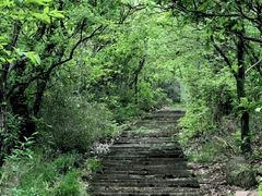 -杭州半山国家森林公园