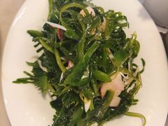 炝拌海藻-船歌·鱼水饺青岛菜(石老人店)