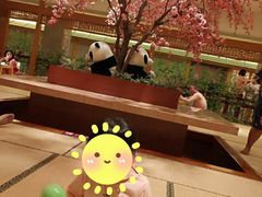 -大江户·温泉洗浴(浑南店)