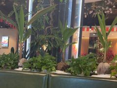 -龙泉人椰子鸡·糟粕醋·地标海南菜(龙昆南店)