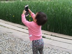 -丰台科技园生态主题公园