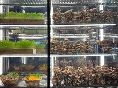 -大头椰·椰子鸡火锅(南宁万象城店)