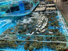 -贵州路便民市场