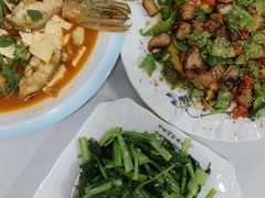 -煲来饱去冷水鱼