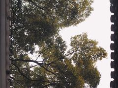 -绮园景区