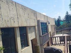 -青藏高原野生动物园