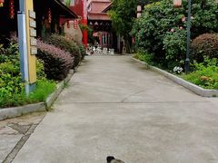-皇罗禅寺