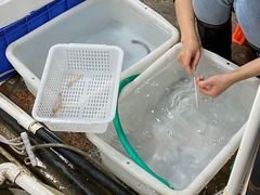 沙虫清理-寻味顺德·南记酒家·传统顺德菜·鱼生(广源路店)