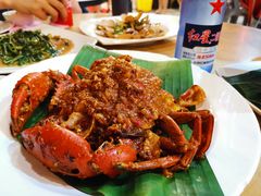 -大树下海鲜饭店
