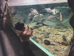 -常州海昌海洋探索馆