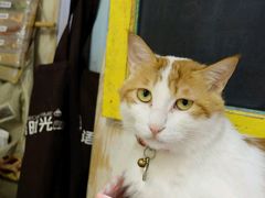-小时光咖啡馆(开森度假森林店)