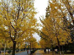 -浙江农林大学(东湖校区)
