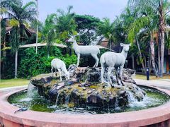 -清迈夜间动物园