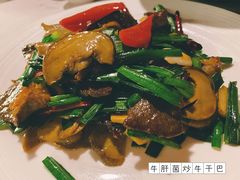 -翠府(翠湖北路店)