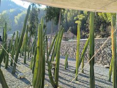 -MOJ coffee(瓯海泽雅水碓坑店)