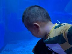 -太平洋海底世界