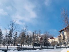 -长白山万达喜来登度假酒店