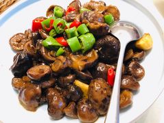 房县小花菇-村长家的疙瘩汤(沌口店)