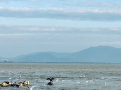 -深圳湾公园(南山区)