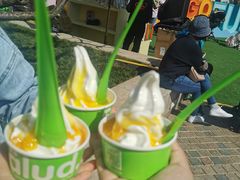 -Salud撒露欧洲冻酸奶(蓝色港湾店)