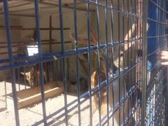 -山西乌金山旅游区