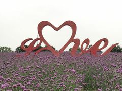 -西京湾花海