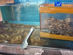 -曼格活海鲜·牛排自助(光明蓝鲸店)