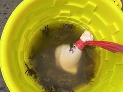 -天津东疆湾沙滩景区