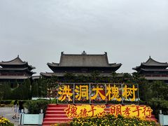 -大槐树寻根祭祖园