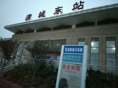 -蒲城东站