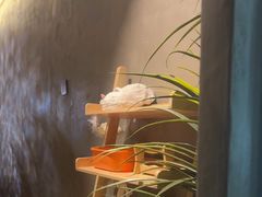 -施奈儿.洗头頭療.按摩SPA.采耳(上梅林店)