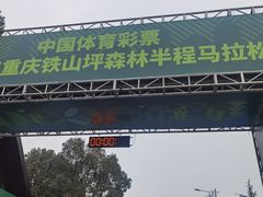 -铁山坪森林公园