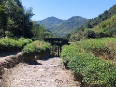 -仙霞关景区